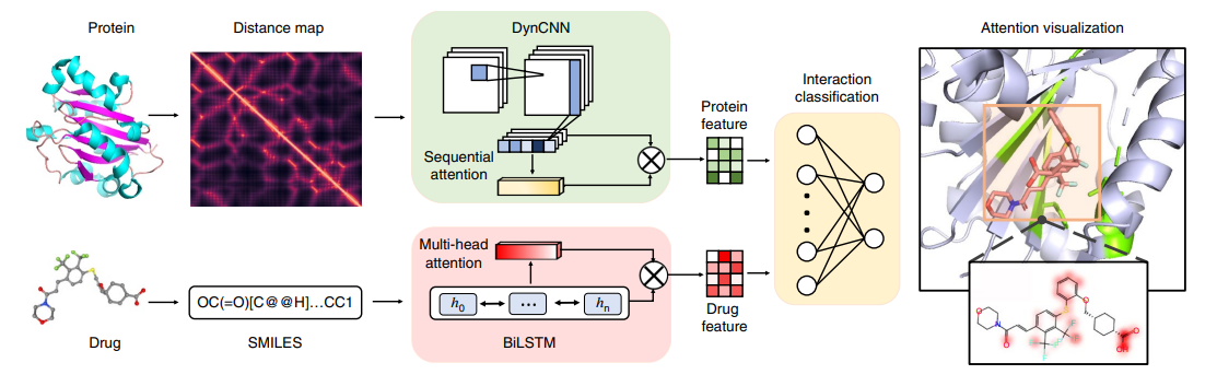 Biomedical HPC+AI Platform