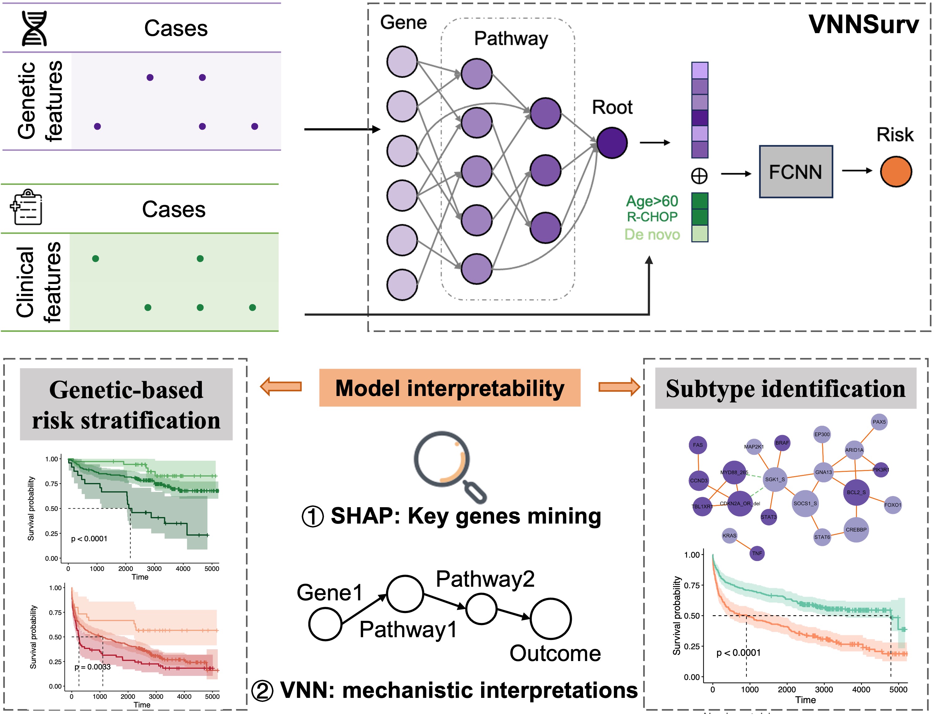 Biomedical HPC+AI Platform